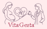 VitaGesta, página inicial